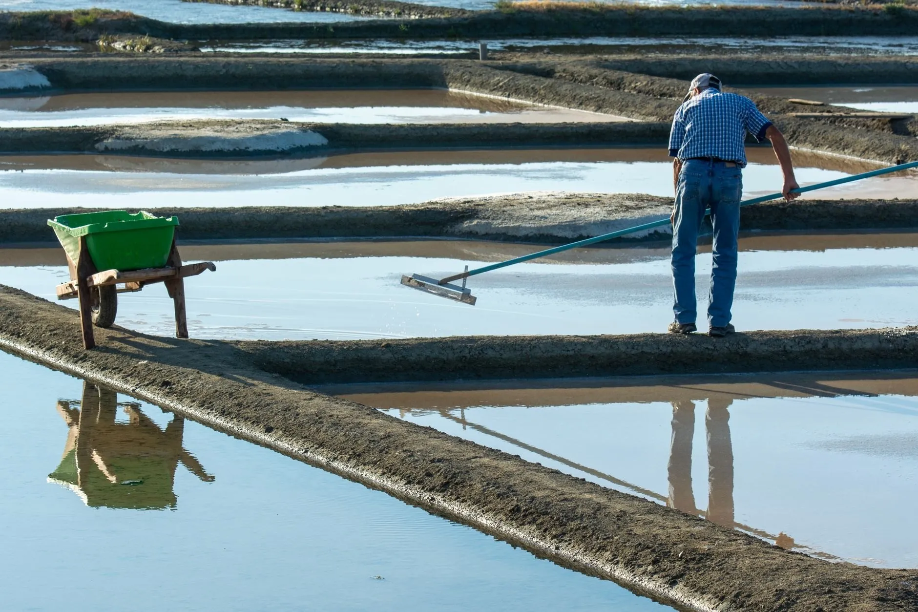 A raker on a pan bank drawing salt towards him with a long-handled rake, a wheelbarrow beside him