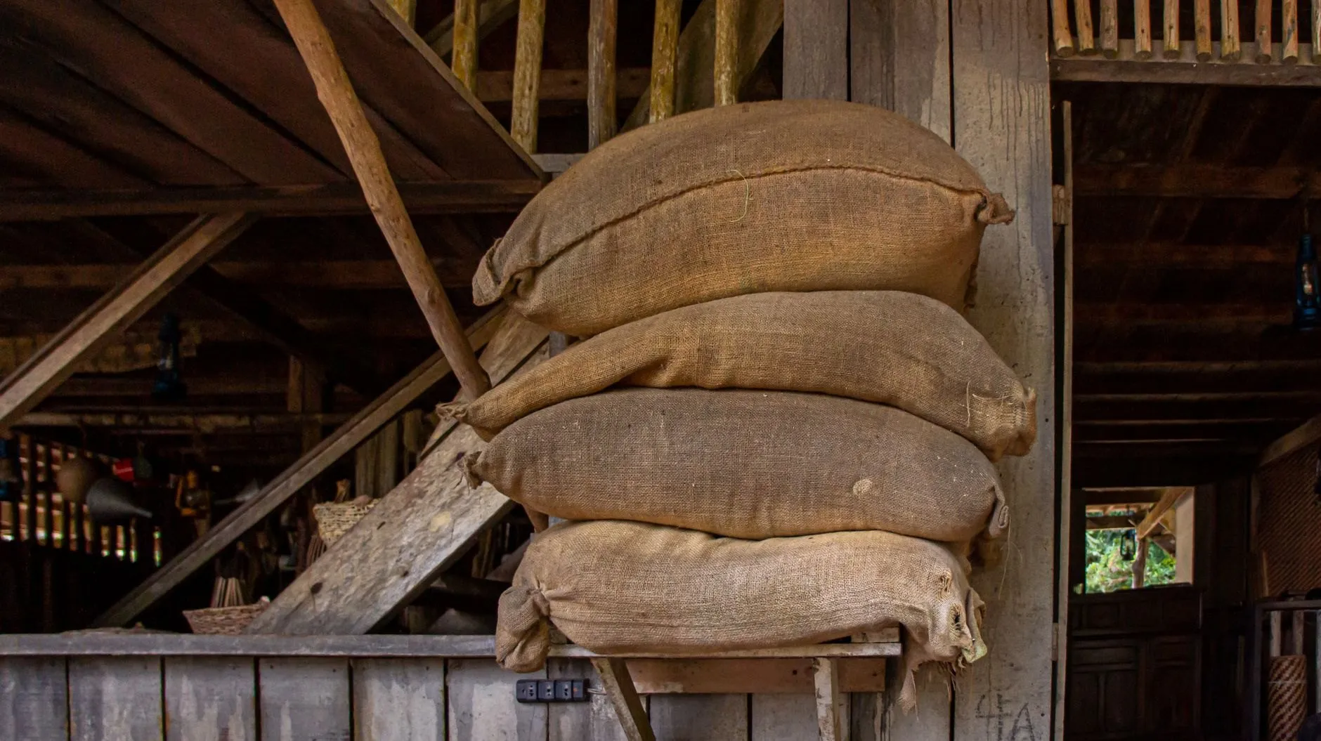 A season under cover dries it in the wind. Then it is screened, weighed and packed at the works.