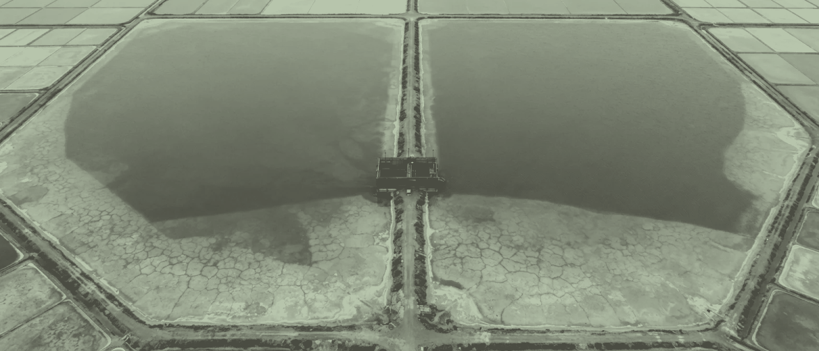 Condensers 1 and 2 from 300 metres: two very large shallow pans divided by one long earth bank with a wooden weir box set into it.